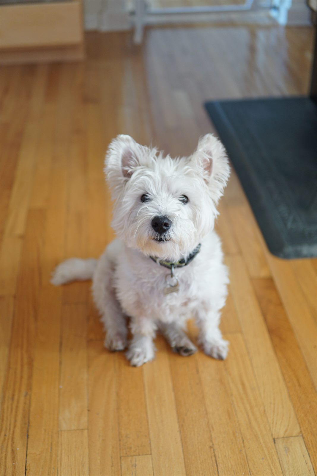 Timo doing the head tilt