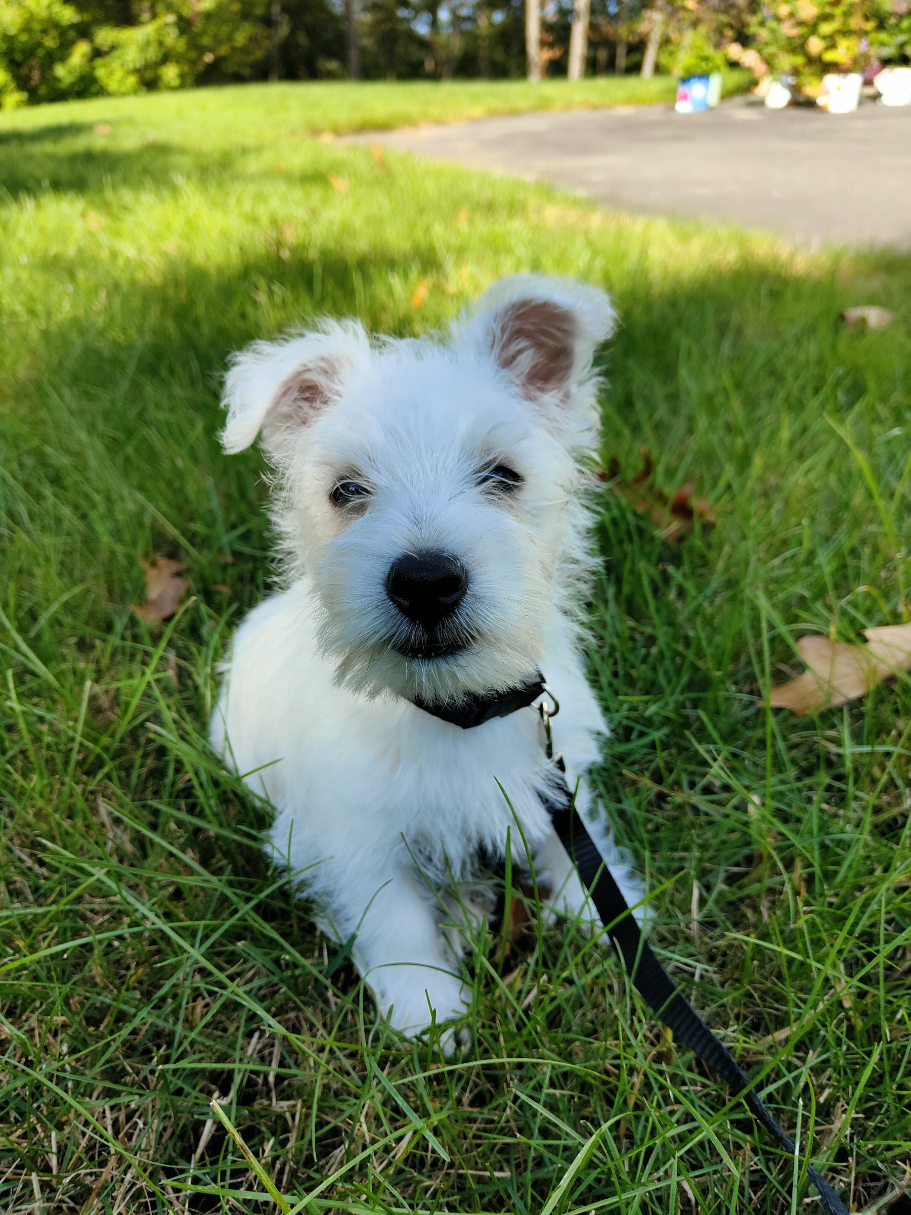 First day at home