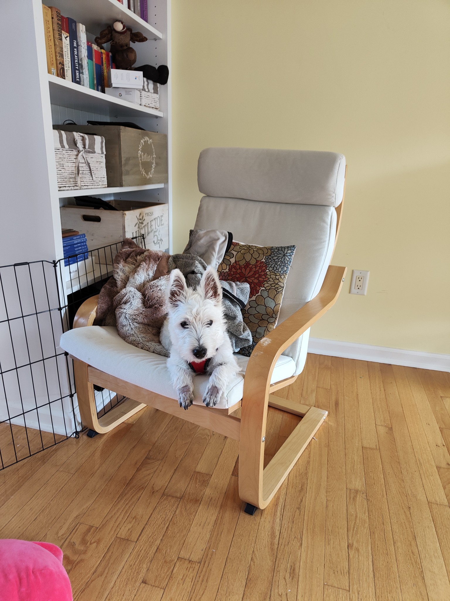 On the Chair