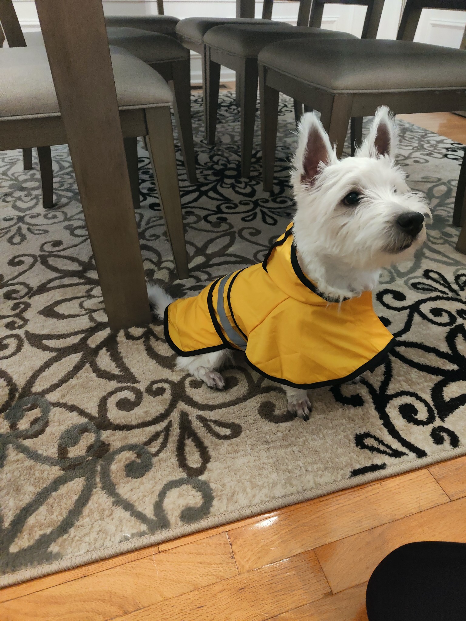 Ready for a rainy day