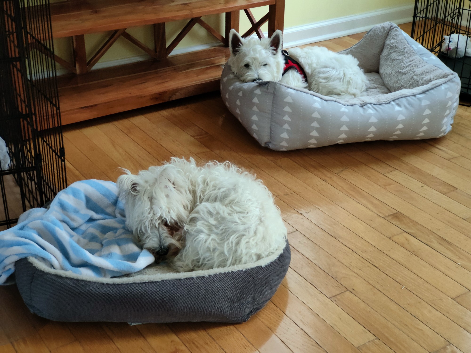 Having a sleep-over